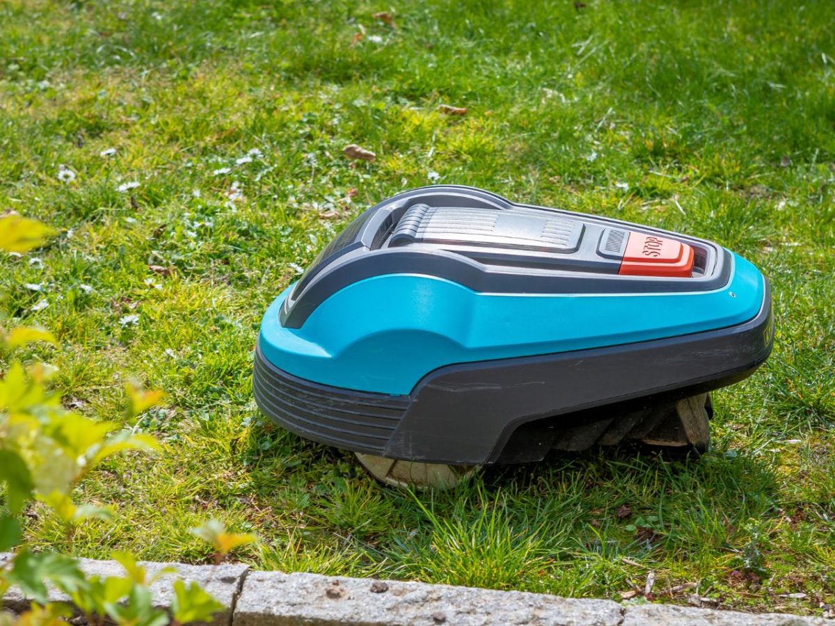 Mähroboter mäht den Rasen