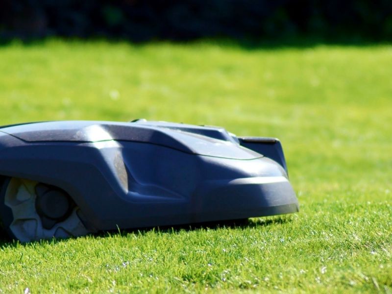 Mähroboter mäht den Rasen