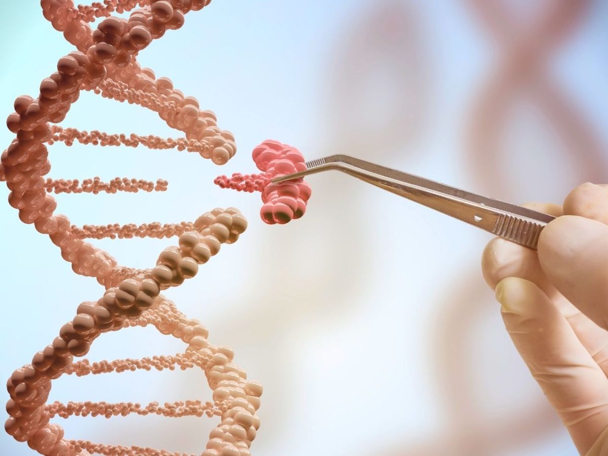 Person entnimmt mit Pinzette Teil eines DNA-Strangs