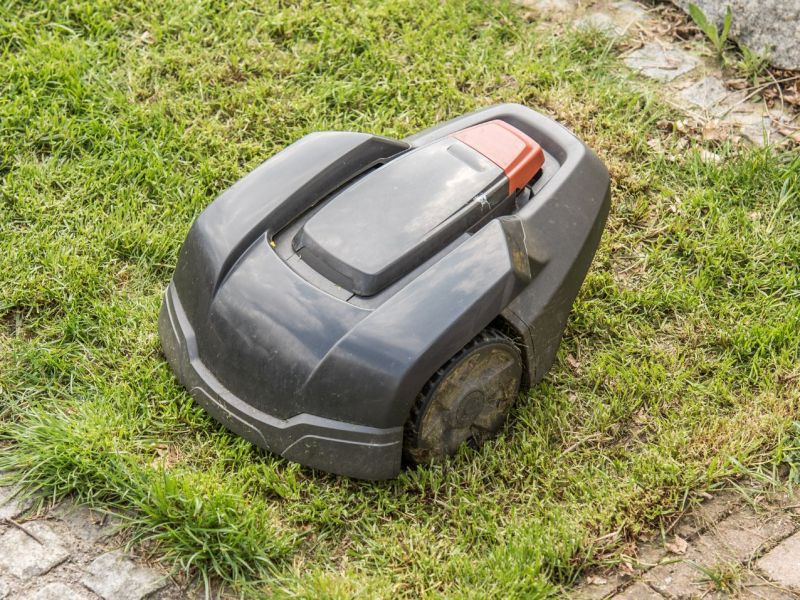 Mähroboter mäht den Rasen