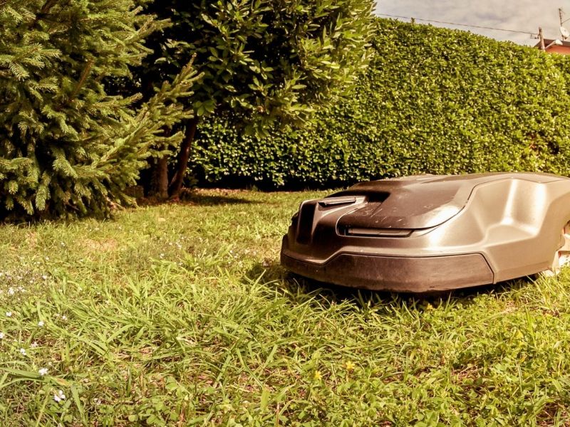 Mähroboter mäht den Rasen