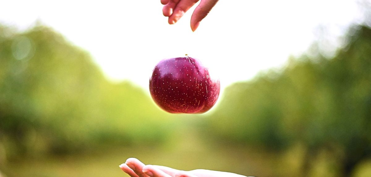 Person lässt Apfel von einer Hand in die andere fallen.