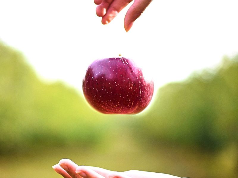 Person lässt Apfel von einer Hand in die andere fallen.
