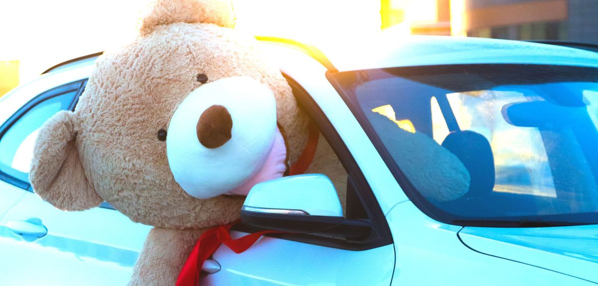 Riesiger Teddybär sitzt in einem Auto und hängt halb aus dem Fenster.