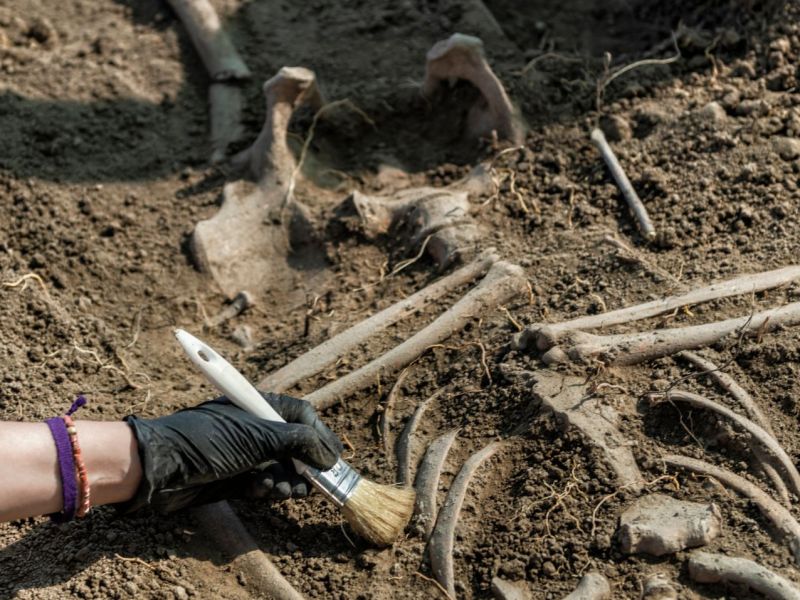 Archäologen untersuchen Grab