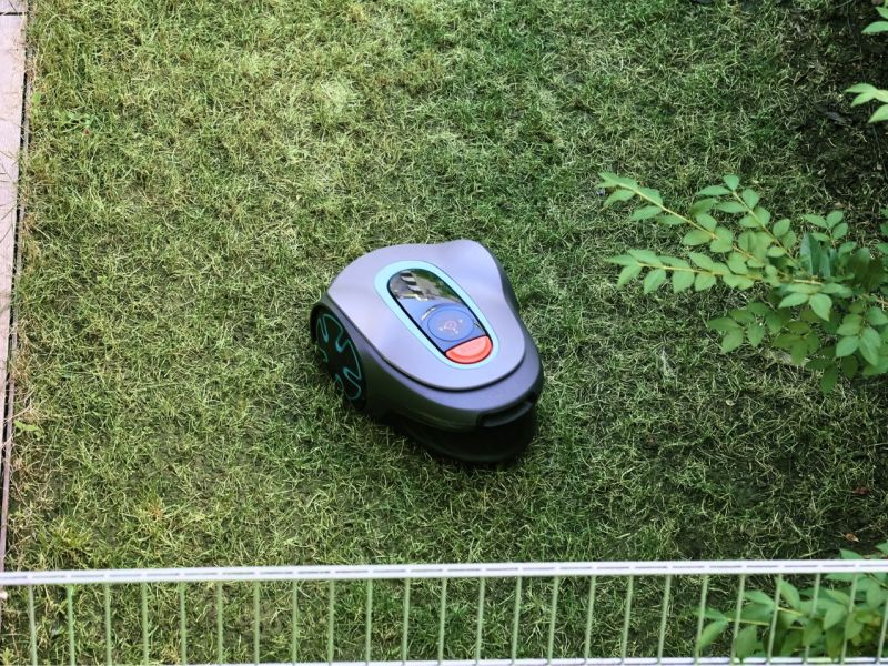 Mähroboter fährt durch den Garten