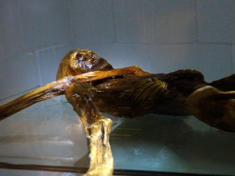 Ötzi im Südtiroler Archäologiemuseum