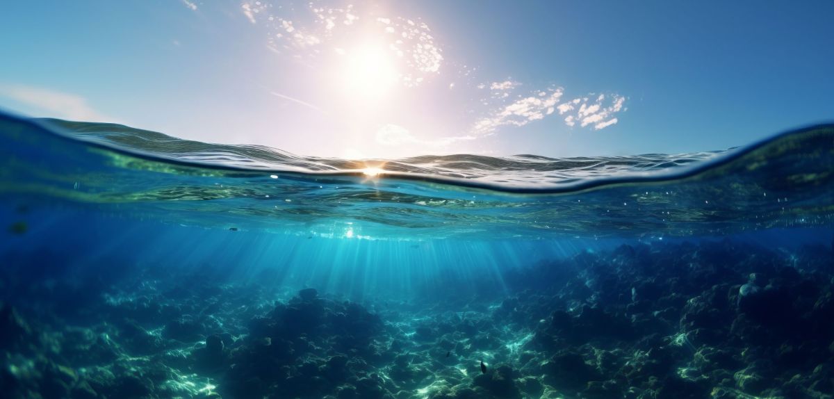 Hufabdruck am Meeresgrund: Forscher entdecken „mysteriöse Lebensspuren“