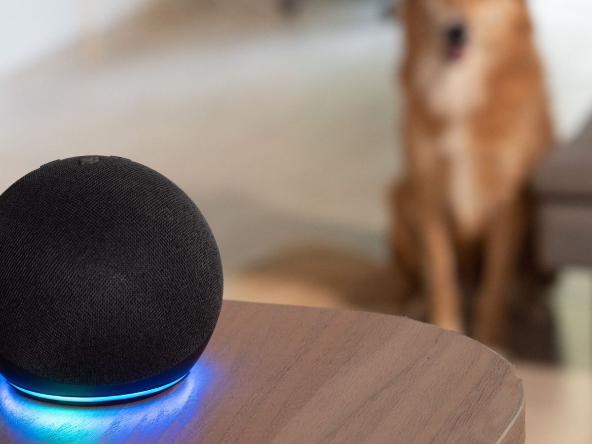 Amazon Echo auf einem Tisch