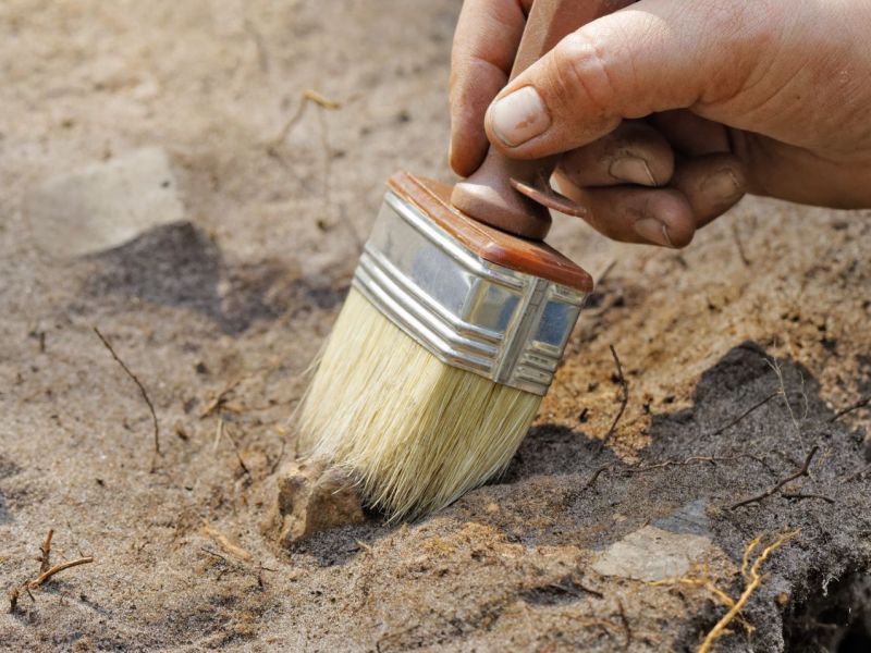 Person nutzt einen Pinsel bei einer archäologischen Ausgrabung.