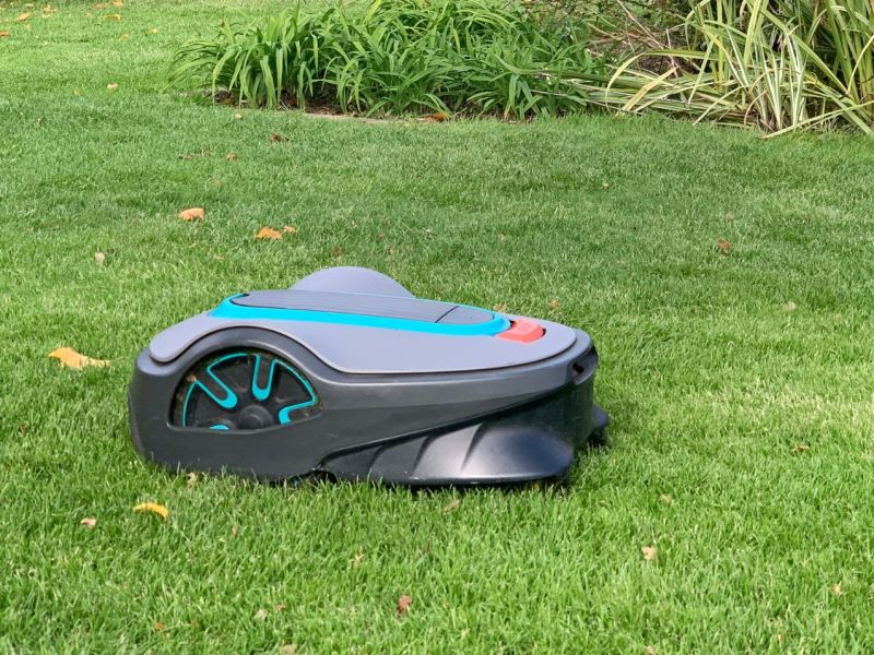 Mähroboter mäht den Rasen