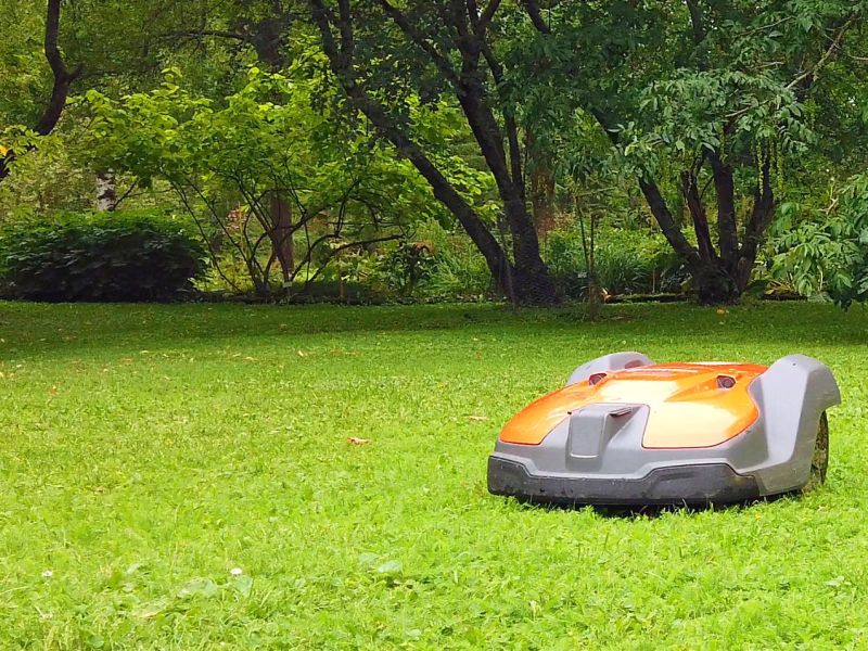 Mähroboter mäht den Rasen.