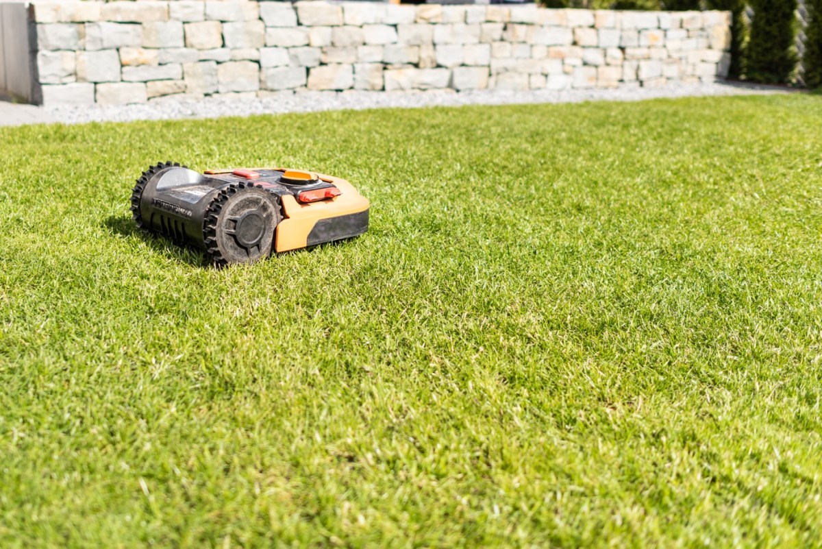 Mähroboter im Garten