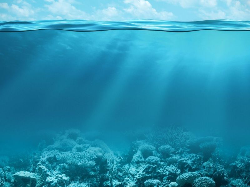 Bild von unterhalb der Wasseroberfläche des Ozeans.