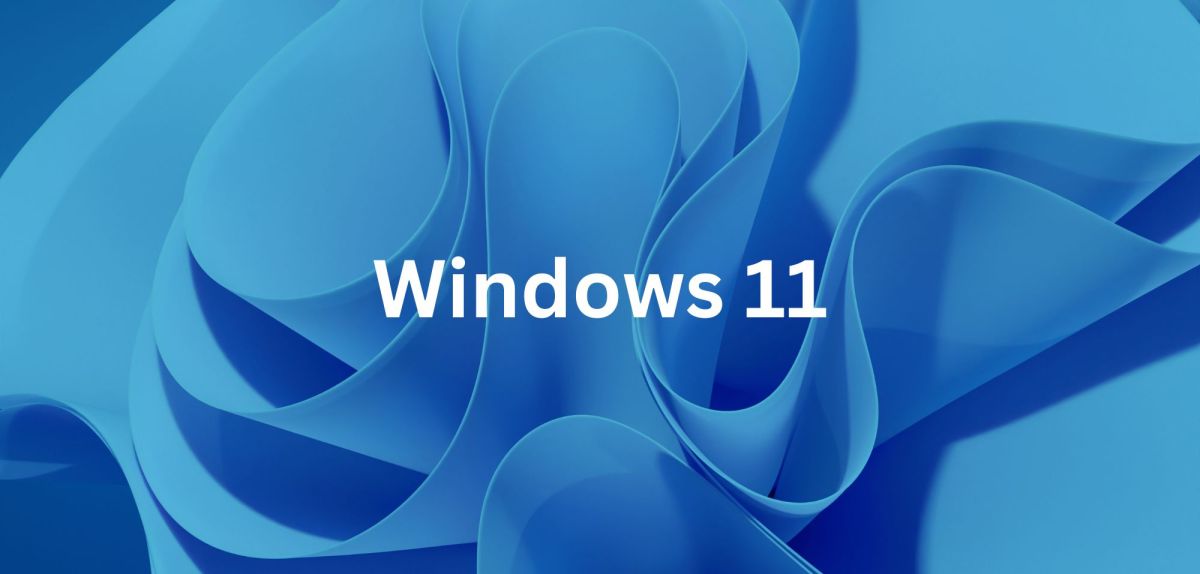 Windows 11 hintergrund