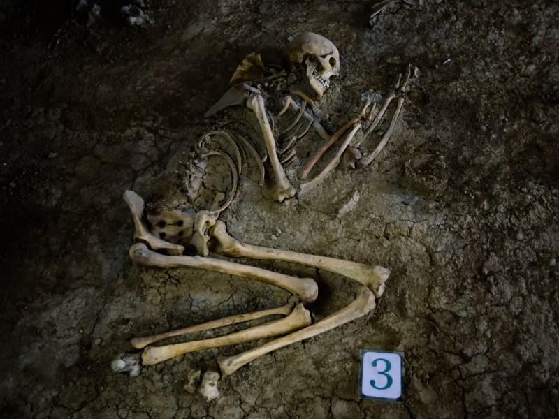 Symbolbild: Ausgrabung eines menschlichen Skeletts