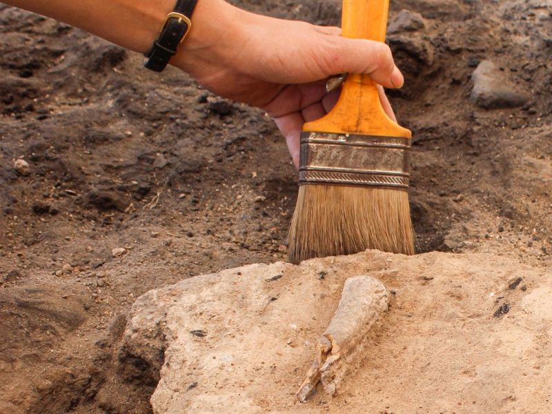 Person bei einer archäologischen Ausgrabung.