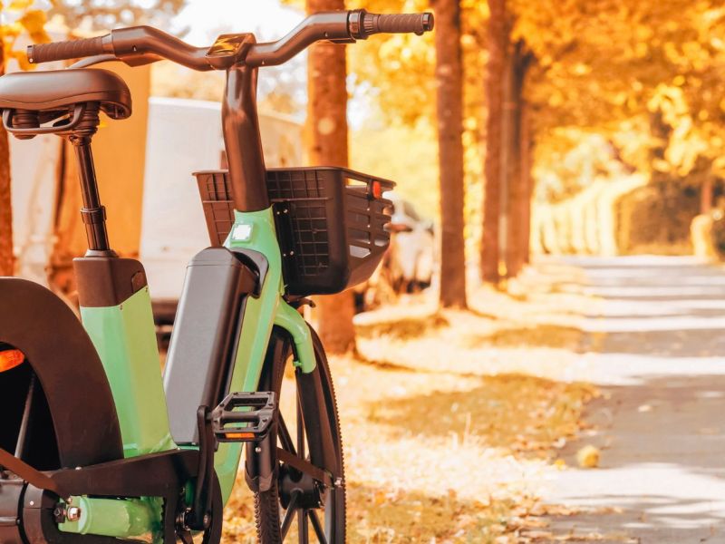 Ein E-Bike auf einer herbstlichen Allee.