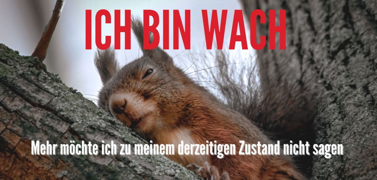 Eichhörnchen und WhatsApp Spruch für Morgenmuffel