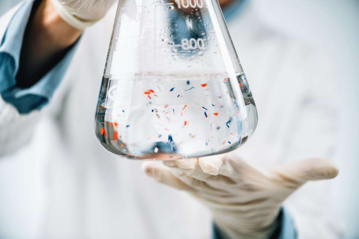 Ein Wissenschaftler untersucht Mikroplastikpartikel im Reagenzglas