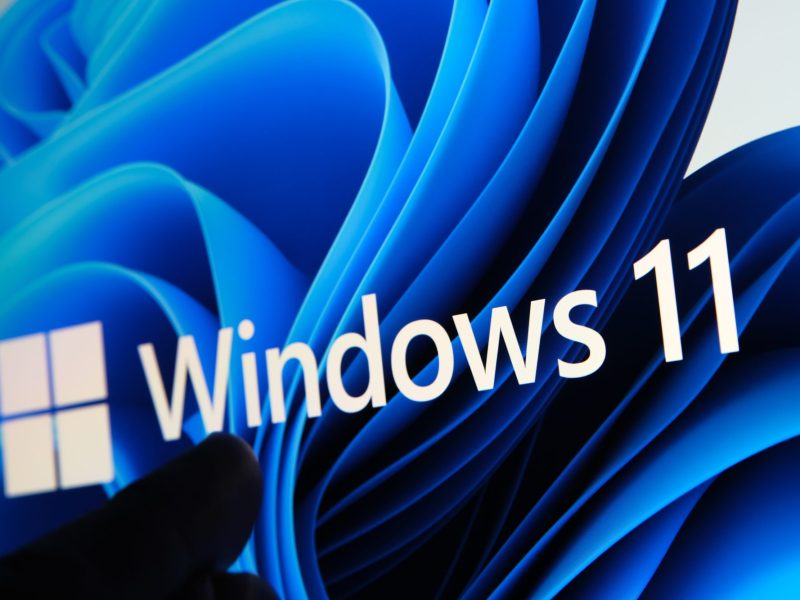 Das Windows 11 Logo