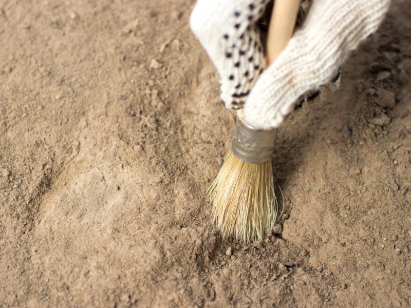 Eine Person legt einen archäologischen Fund mit einem Pinsel frei.