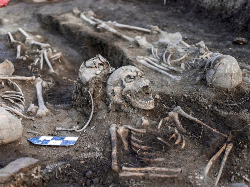 Archäologischer Fund eines Massengrabes.