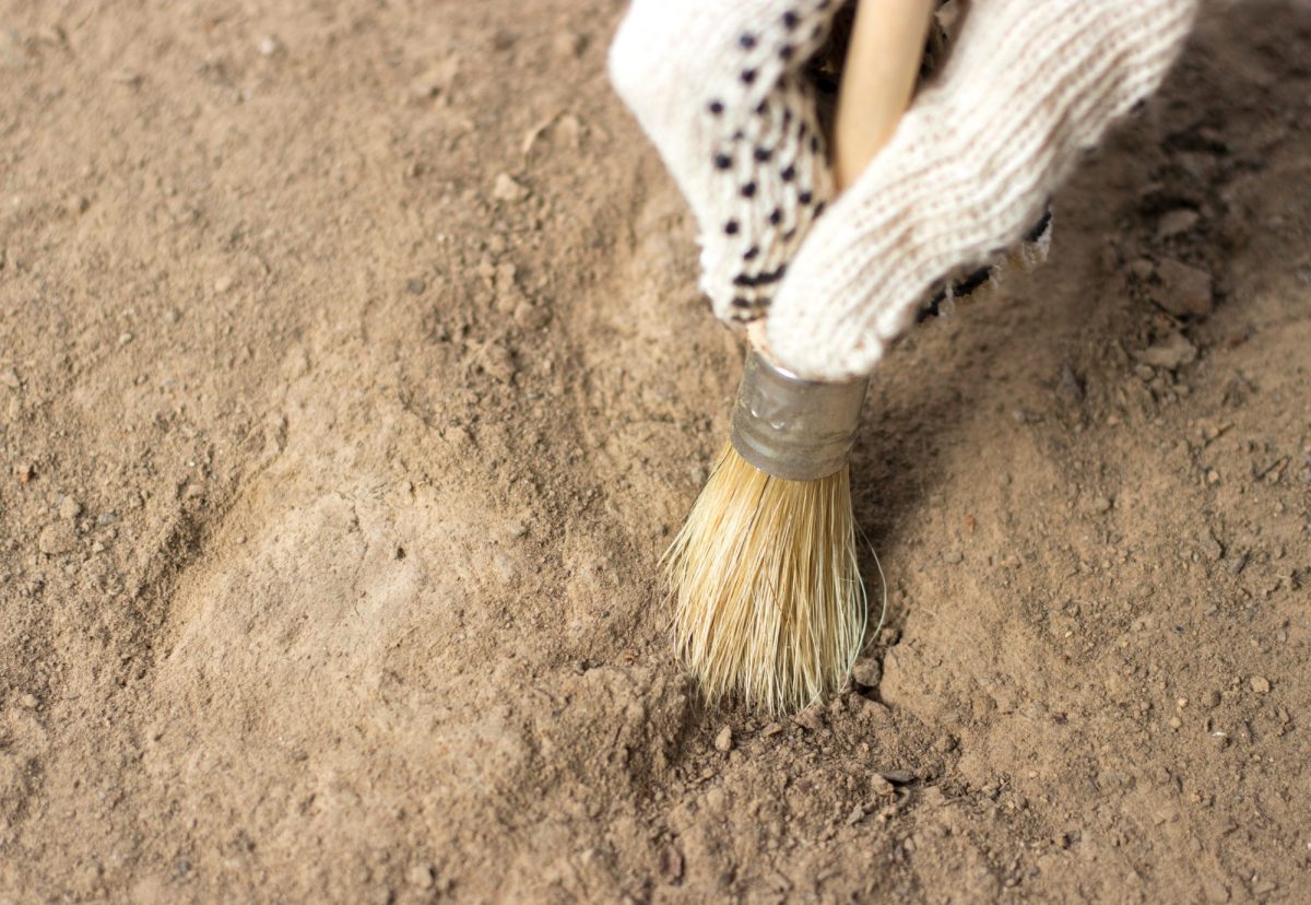 Person legt ein archäologisches Artefakt mit einem Pinsel frei.