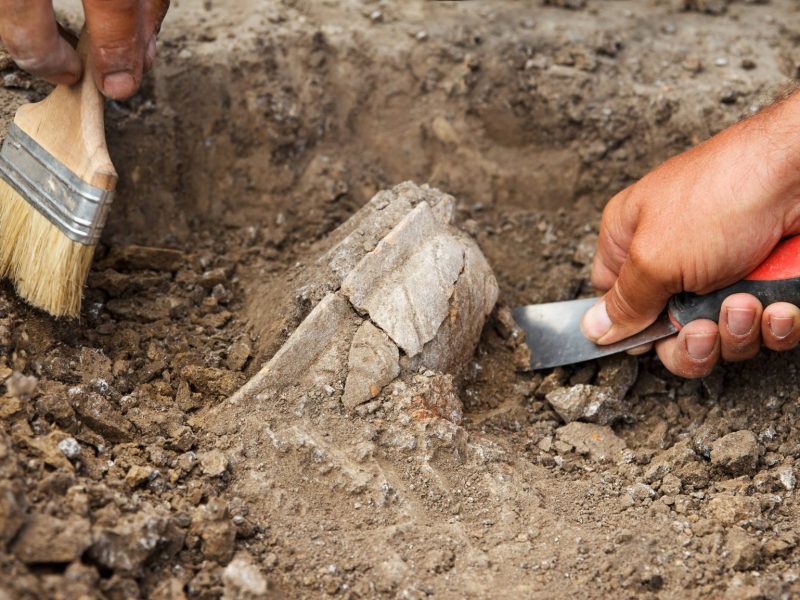 Eine archäologische Ausgrabung mit Pinsel und Spachtel.