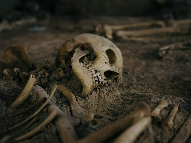 Ein begrabenes menschliches Skelett.