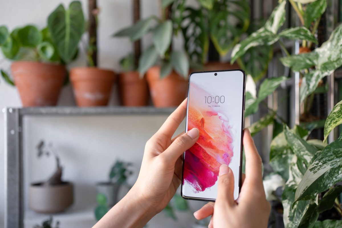 Hände halten ein Samsung Galaxy Handy vor Hintergrund mehrerer Pflanzen hoch.