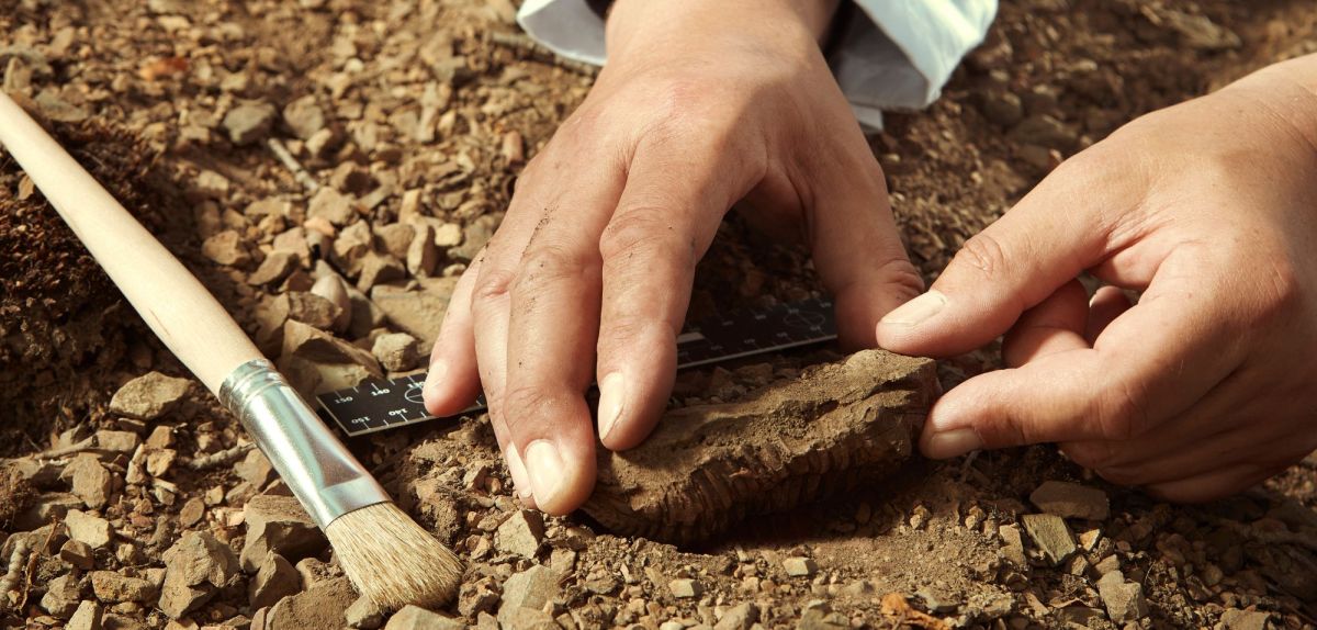 Person bei einer archäologischen Ausgrabung.