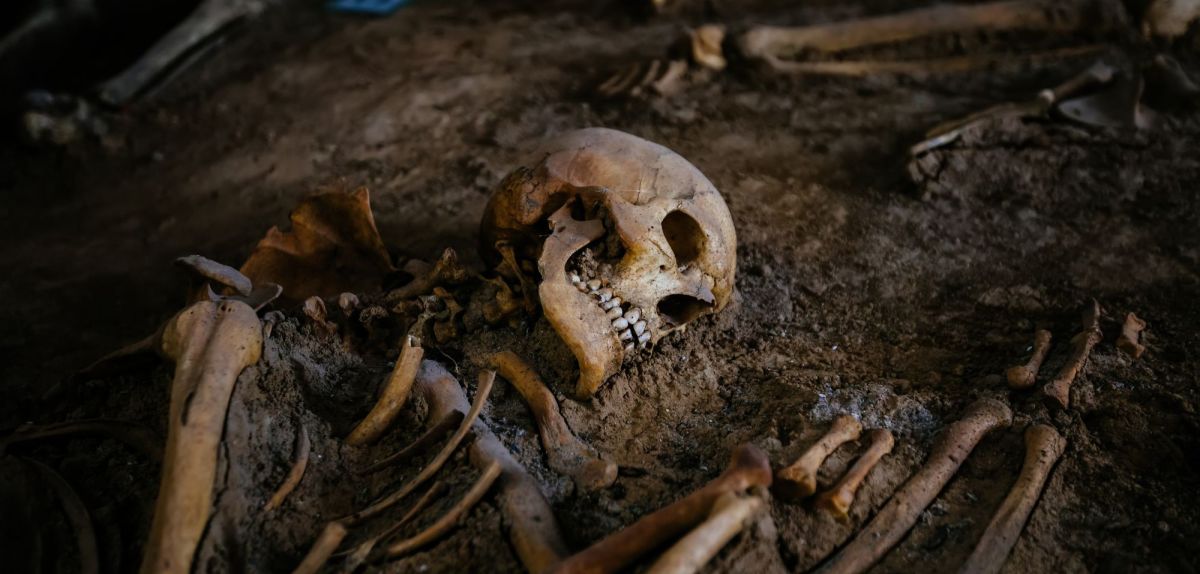 Ein Skelett bei einer archäologischen Ausgrabung.