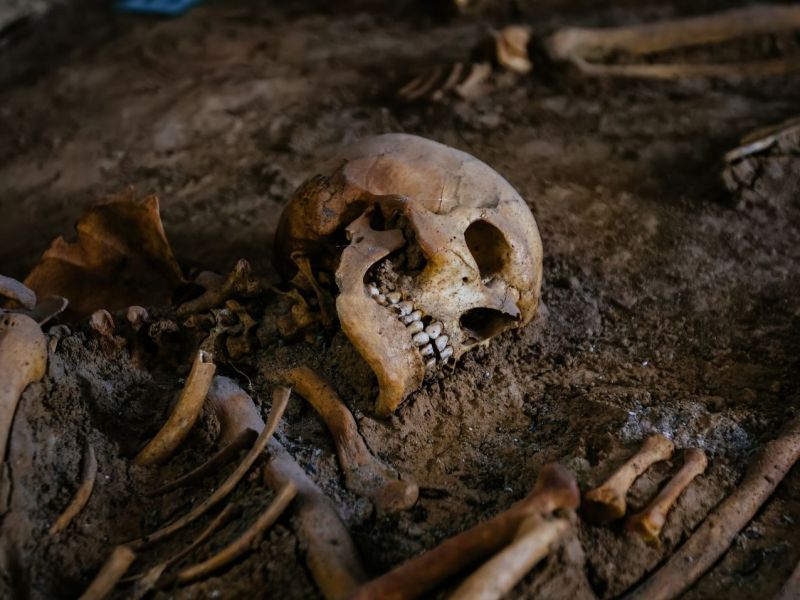 Ein Skelett bei einer archäologischen Ausgrabung.