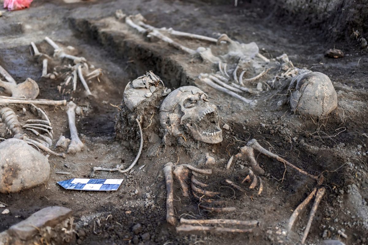 Eine Ausgrabungsstelle mit mehreren menschlichen Skeletten.