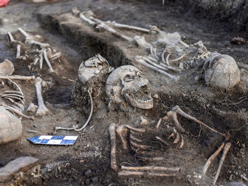 Eine Ausgrabungsstelle mit mehreren menschlichen Skeletten.