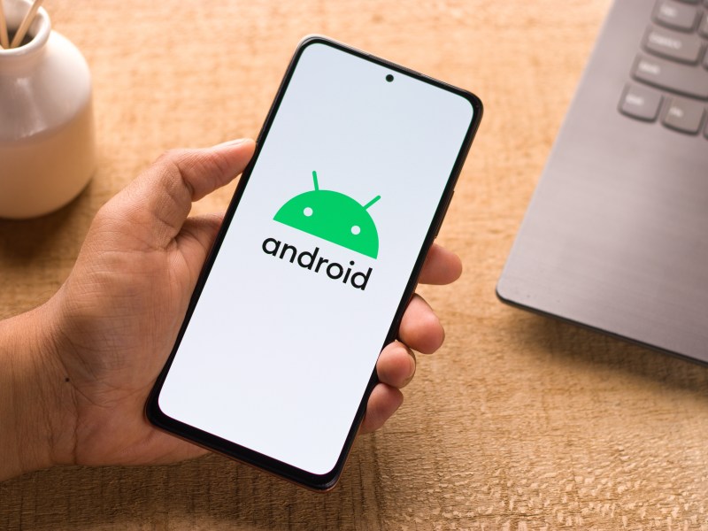 Android Logo auf dem Handy