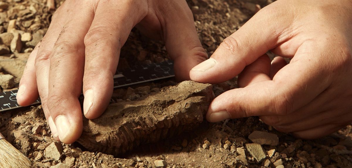 Aufnahme von einer archäologischen Ausgrabung.