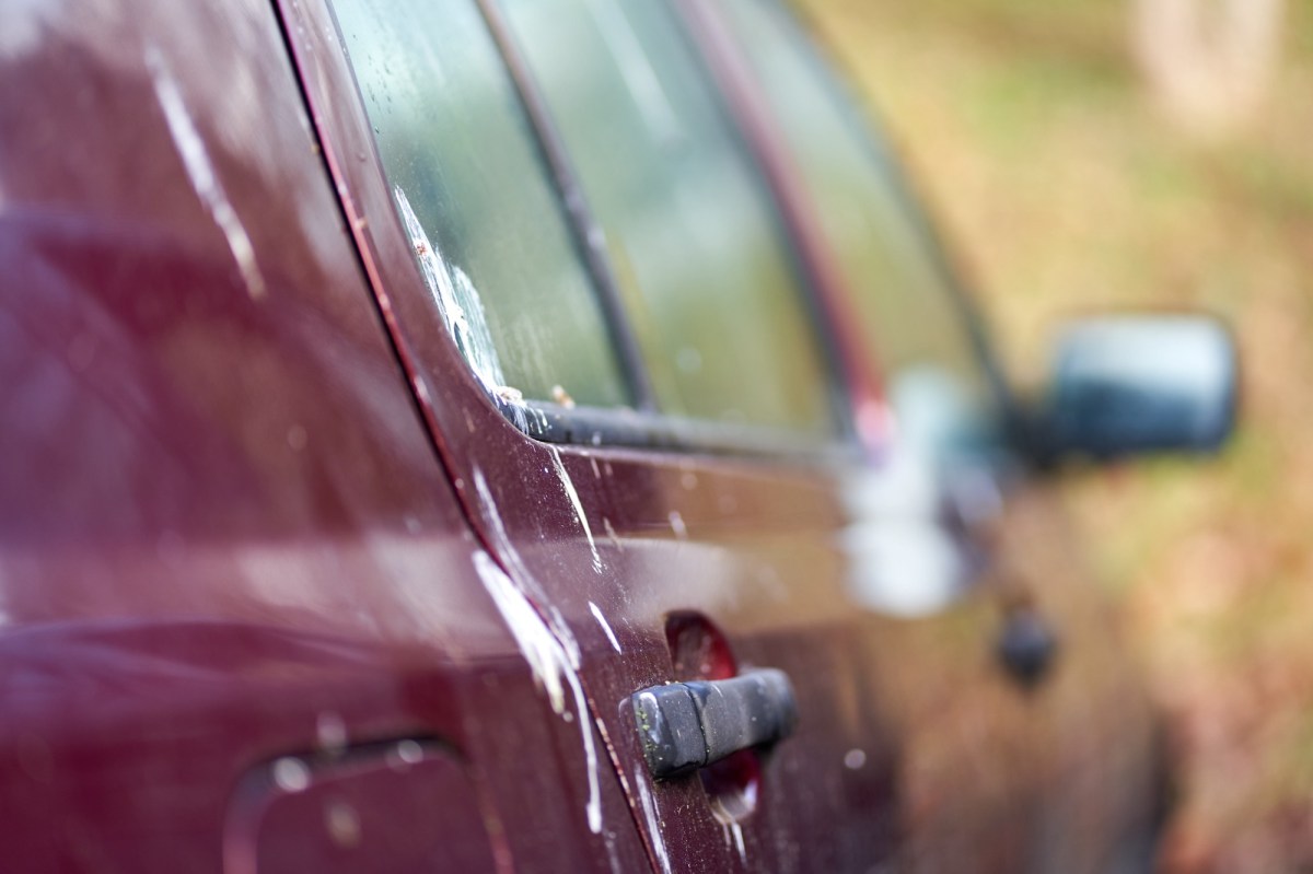 Auto mit Vogelkot auf dem Lack