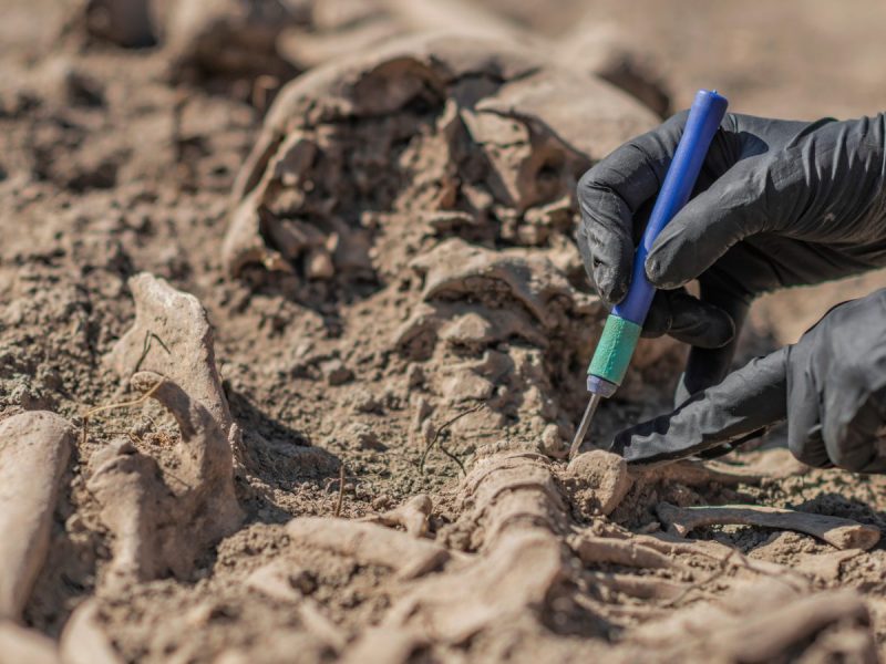 Hände arbeiten mit Werkzeug an einem archäologischen Fund.