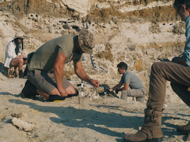 Forscher graben an einem archäologischen Fund.