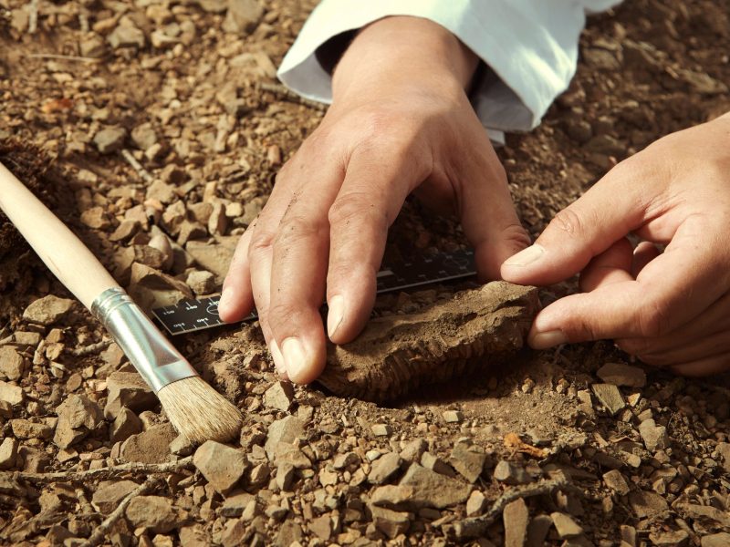 Mann hebt archäologischen Fund aus dem Boden.