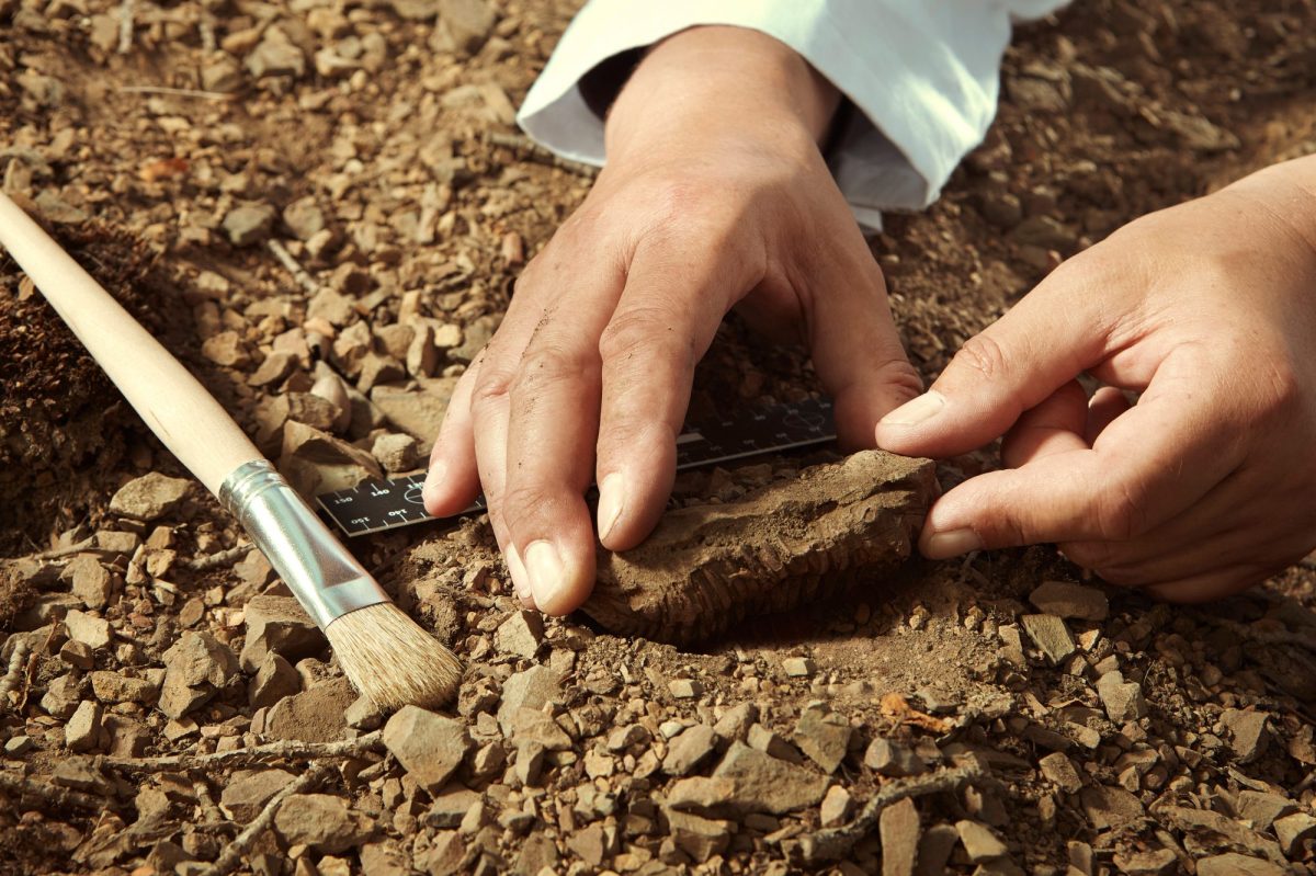 Mann hebt archäologischen Fund aus dem Boden.