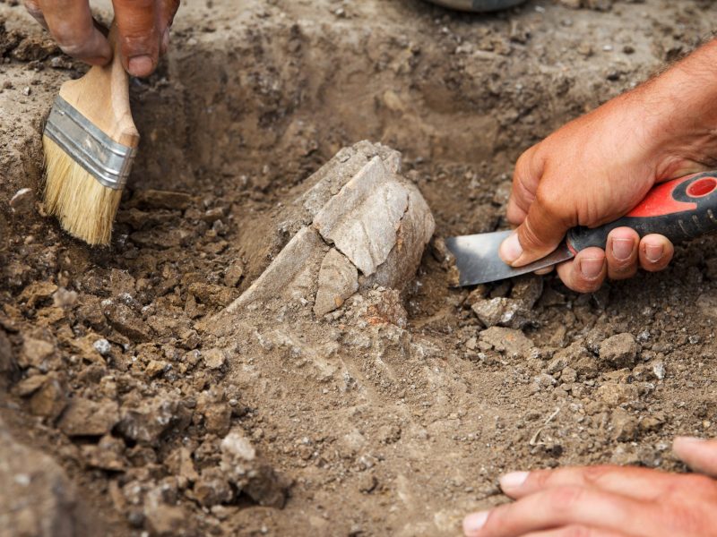Mehrere Hände graben mit Werkzeugen an einem archäologischen Fund.