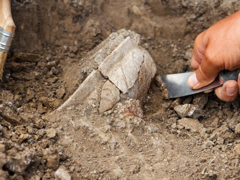 Hände mit Werkzeugen graben an einem archäologischen Fund.