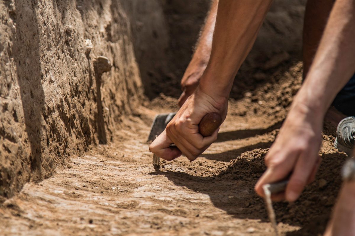 Mehrere Hände mit Werkzeugen graben an einem archäologischen Fund.