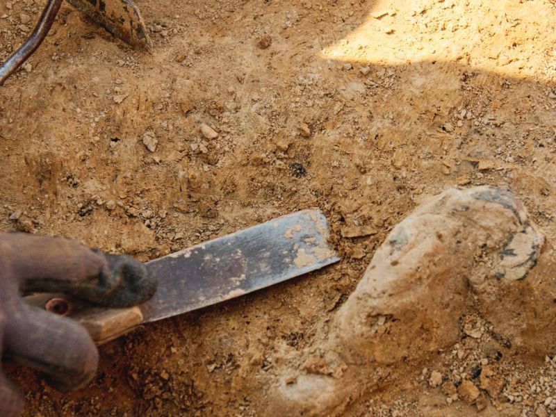 Hand gräbt mit Werkzeug an einem archäologischen Fund.