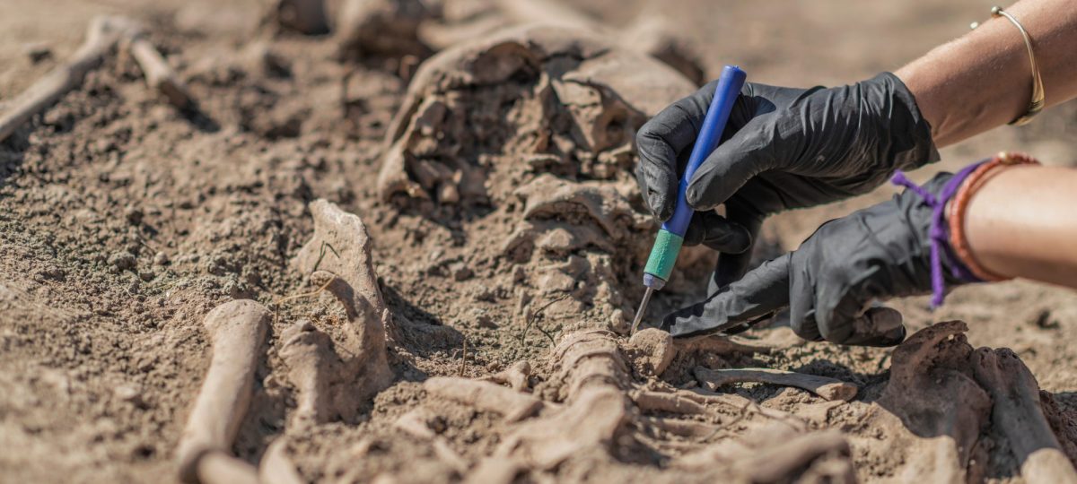 Hände arbeiten mit Werkzeugen an einem archäologischen Fund.