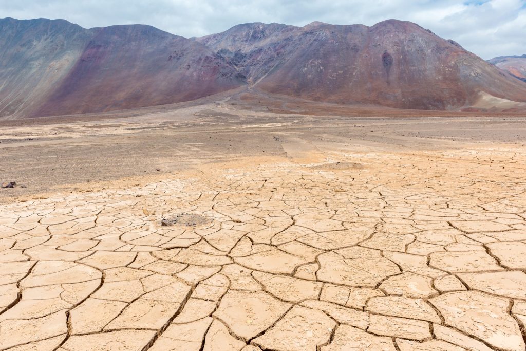 Heißeste Wüste der Welt: Forscher finden verborgene Lebewesen