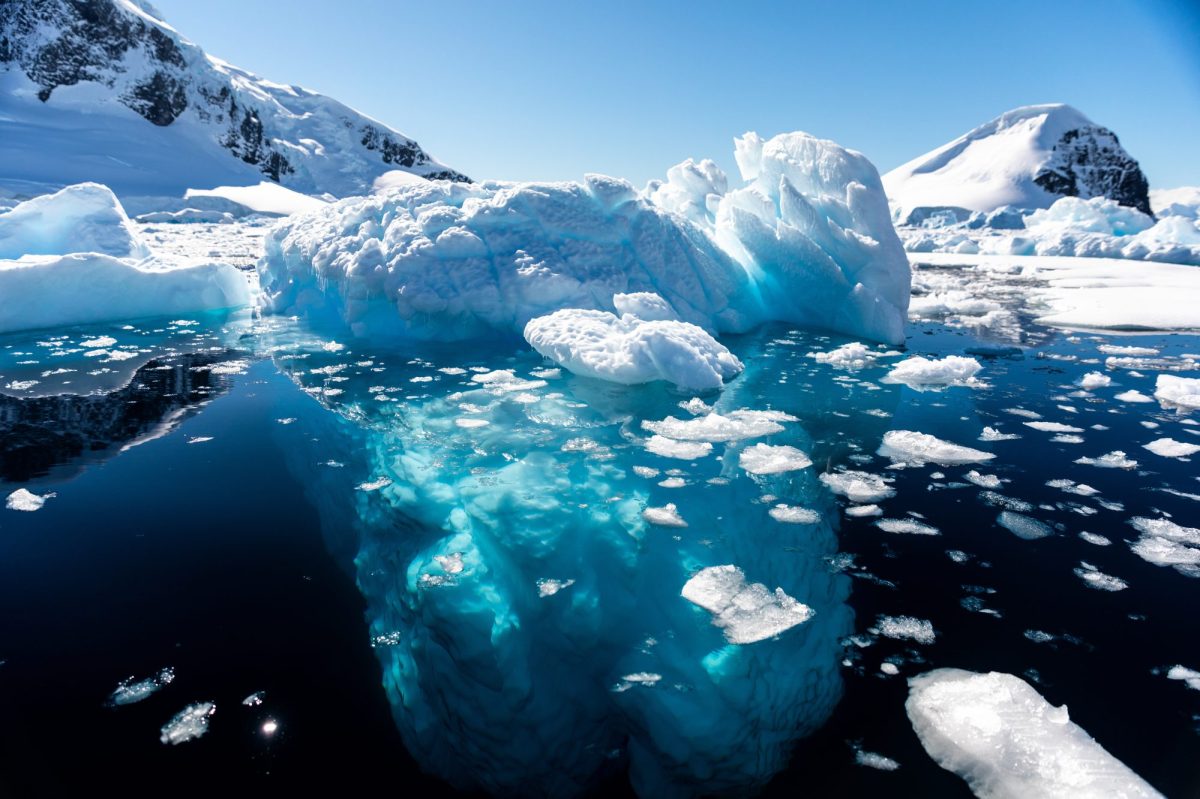 Erschreckende Entdeckung in der Antarktis: Forscher warnen vor Katastrophe